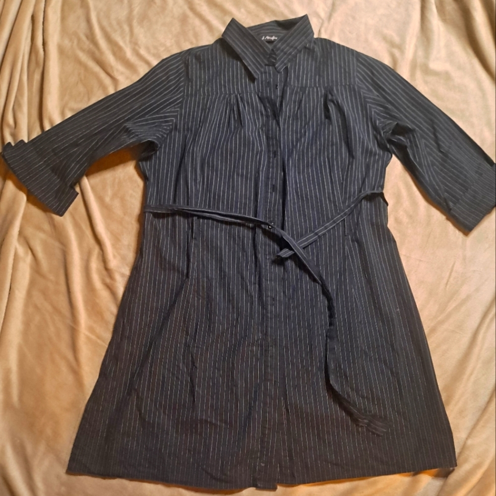 Plus Sized Pin Striped Button Down Dress